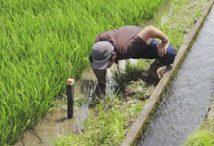 減水深調査 画像