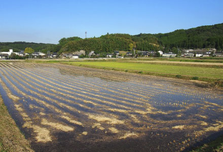 湛水 画像