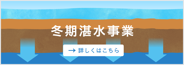 冬期湛水(たんすい)事業