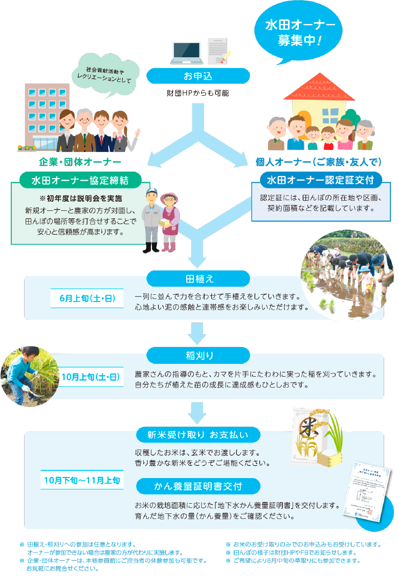 年間スケジュール 図解